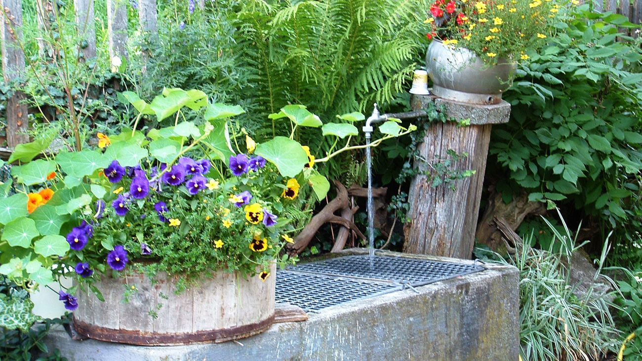 Blühende Blumen vor dem Brunnen