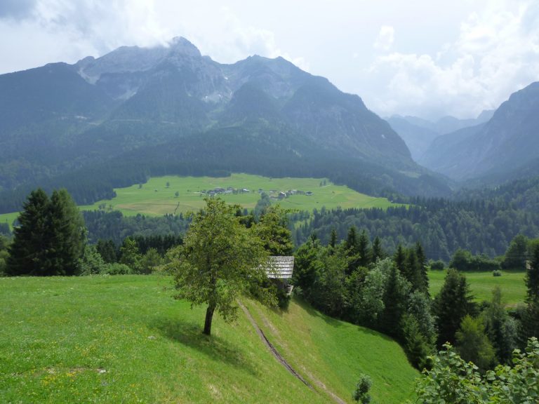 „Die Wiese als Supermarkt“